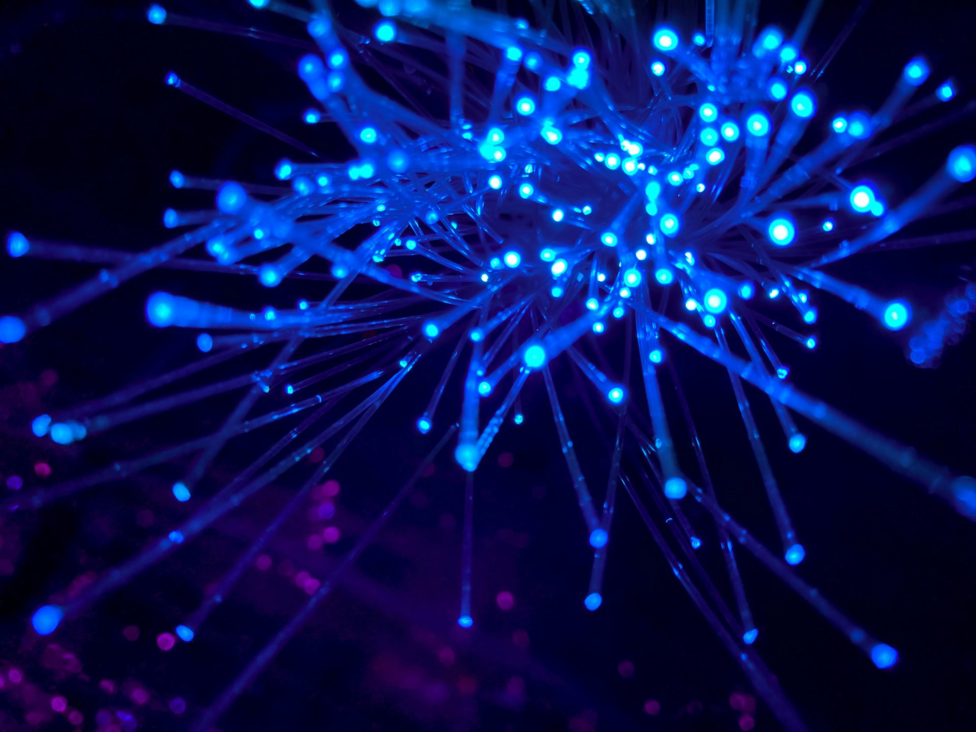 A close-up shot of fiber optic cables with glowing blue tips, creating a vibrant, abstract light display against a dark background with hints of purple.